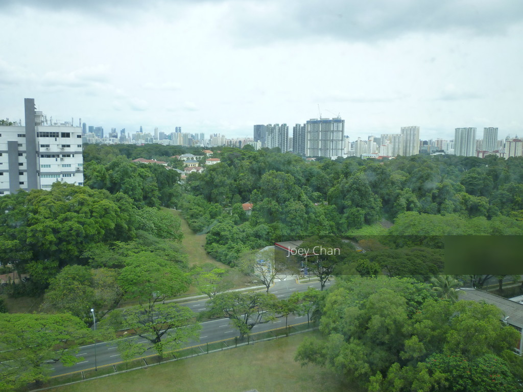 Viz At Holland (D10), Condominium #132877142